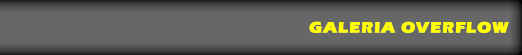 Bienvenido a la Galeria Overflow